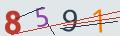 verifycode